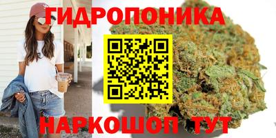 крисы Коммунар